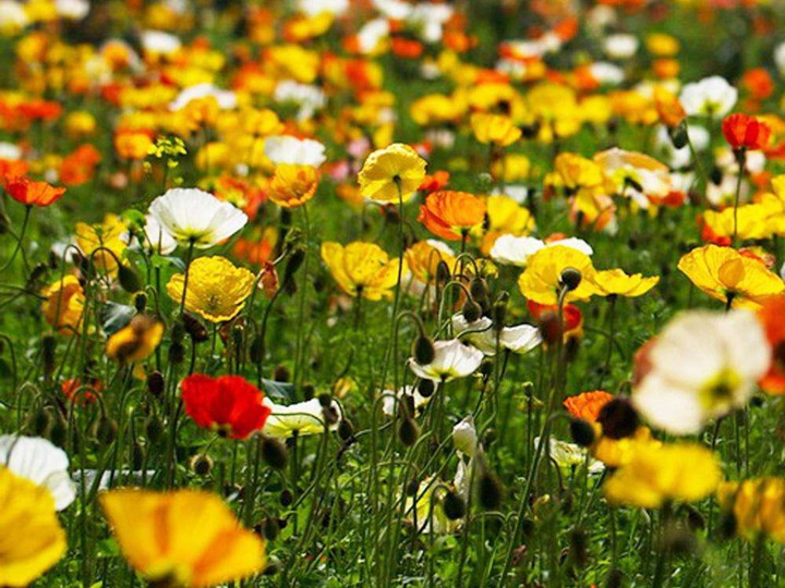 1649072358446839.jpg 5 (2).jpg