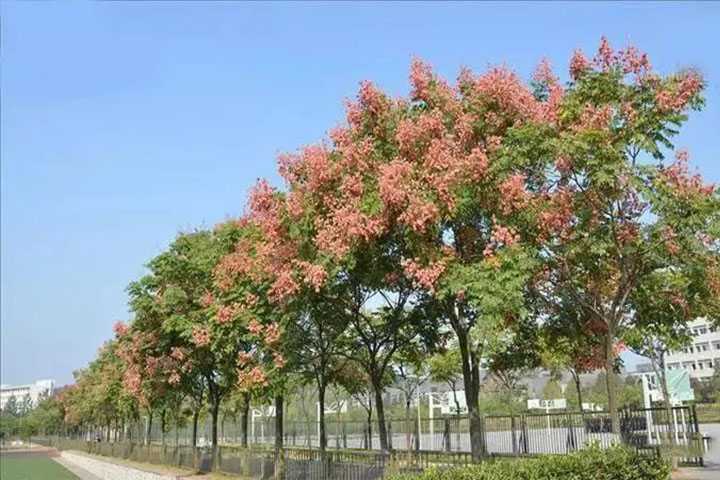 1686449954510122.jpg 3.jpg