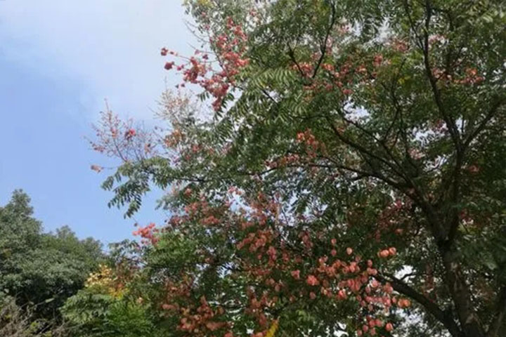 1686450606139704.jpg 10.jpg